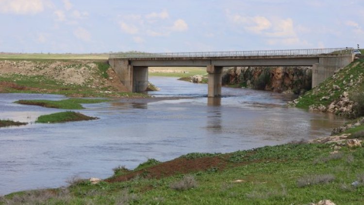 Ceylanpınar Belediyesi Eşbaşkanı Kepez Piknik Alanı'nda Vatandaşlarla Buluştu