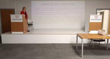 Ceylanpınar Devlet Hastanesi'nde Anne Dostu Hastane Kriterleri Eğitimi Verildi