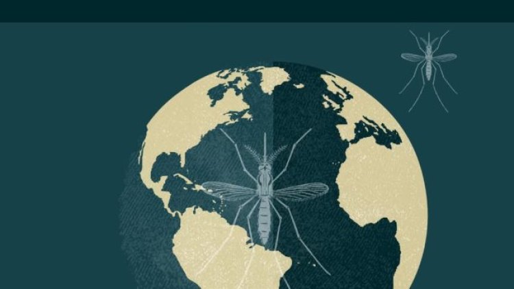 Ceylanpınar Devlet Hastanesi'nden Sıtma Hastalığına Dikkat Çeken Bilgilendirme