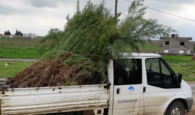 Ceylanpınar'da Biyoçeşitliliği Artırma Seferberliği Devam Ediyor