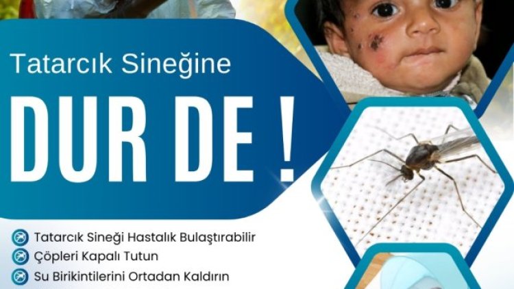 Ceylanpınar'da Şark Çıbanı Tehlikesi: Belediyeden İlaçlama ve Bireysel Önlem Çağrısı