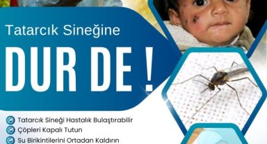 Ceylanpınar'da Şark Çıbanı Tehlikesi: Belediyeden İlaçlama ve Bireysel Önlem Çağrısı