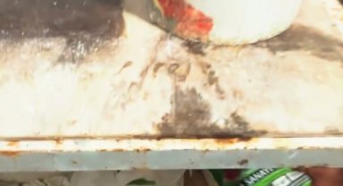 Eyyübiye Belediyesi Zabıtasından Halk Sağlığını Tehdit Edenlere Sıfır Tolerans