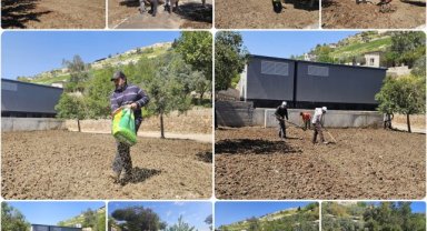 Eyyübiye'de Parklar Temizleniyor: Ekipler Çalışmalarını Sürdürüyor