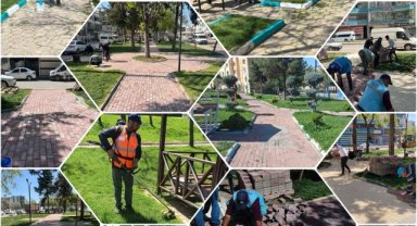 Eyyübiye'de Parklar Yenileniyor: Ekipler Temizlik ve Bakım Çalışmalarını Sürdürüyor