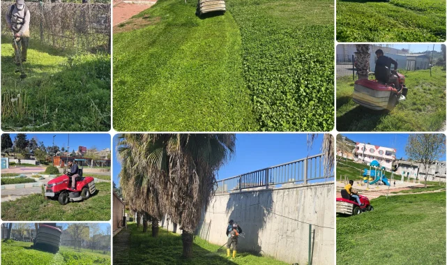 Eyyübiye'de Parklar Yeşil Kalıyor: Ot Biçme Çalışmaları Devam Ediyor