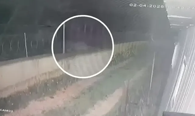 Görüntüler ortaya çıktı! Şanlıurfa’da bağ evinden 300 bin liralık hırsızlık aydınlatıldı! 