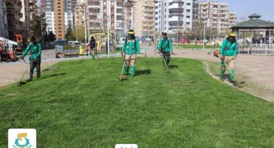 Haliliye Belediyesi Park ve Yeşil Alanlarda Bakım Seferberliği Başlattı