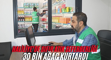 Haliliye’de Geri Dönüşüm Atağı: 30 Bin Ağaçlık Orman Kurtarıldı