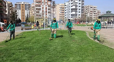 Haliliye'de park ve yeşil alanlarda bakım seferberliği