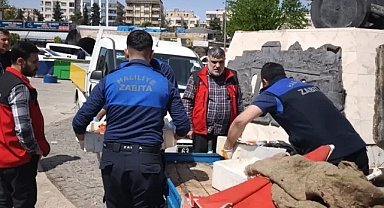 Haliliye’de seyyar balık satıcısına ceza: 20 kilo balığa el konuldu