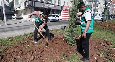 Haliliye’de Yaz Öncesi Parklarda Hummalı Çalışma