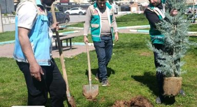 Haliliye'de Bahar Ayı Ağaç Dikim Çalışmaları Hız Kazandı
