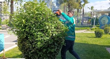 Haliliye'de Yeşil Alanlar Yenileniyor, Estetik Dokunuşlar Yapılıyor