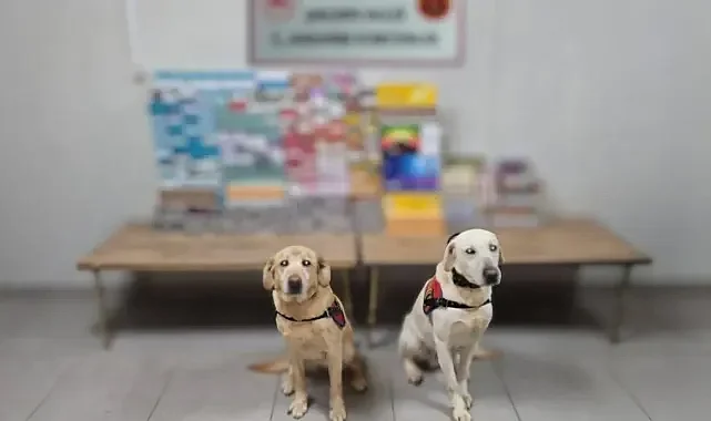 Kaçak ticaretine darbe! Urfa'da 27 şüpheli yakalandı!