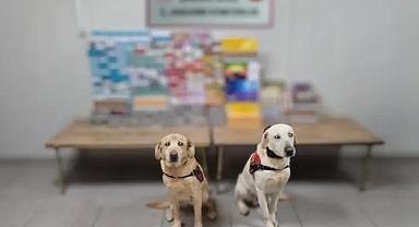 Kaçak ticaretine darbe! Urfa'da 27 şüpheli yakalandı!