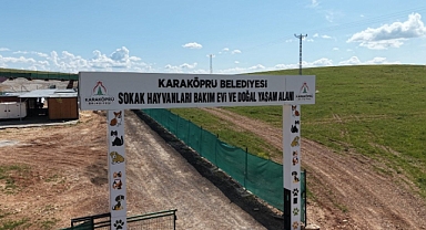 Karaköprü’de Sokak Hayvanlarının Doğal Yaşam Alanı Güçlendiriliyor