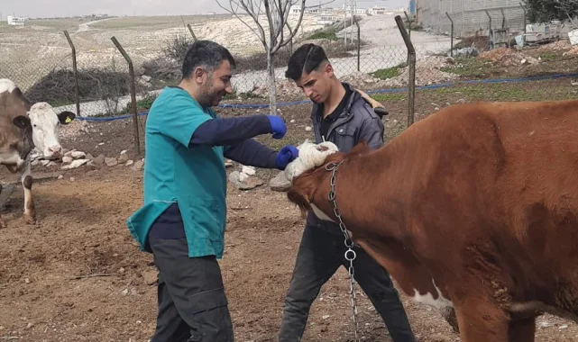 Karaköprü'de Hayvan Sağlığı İçin Şap ve Brucella Aşılamaları Devam Ediyor