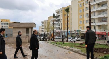 Karaköprü'de Seyrantepe Mahallesi'nde Palmiye Ağacı Dikimi Devam Ediyor