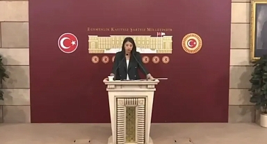 Milletvekili Dilan Kunt Ayan 'dan “Her şey Urfa için” Açıklaması