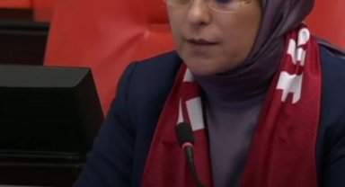 Milli Takımımız Avrupa Şampiyonası'nda: TBMM'den Tam Destek