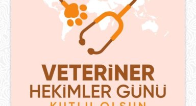 Şanlıurfa Belediyesi'nden Can Dostlara Vefa: Sessiz Kahramanlar Anıldı