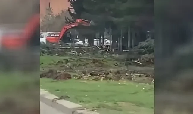 Şanlıurfa’da ağaçlara zarar verildi iddiası: Görevden uzaklaştırıldı
