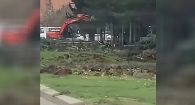 Şanlıurfa’da ağaçlara zarar verildi iddiası: Görevden uzaklaştırıldı