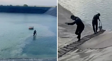 Şanlıurfa’da gölete düşen tilki kurtarıldı