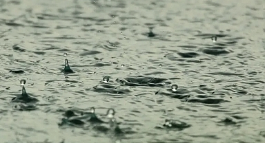 Şanlıurfa’da sabah saatlerinde etkili oldu!