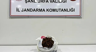 Şanlıurfa’da uyuşturucu operasyonu:1 kilo skunk ele geçirildi
