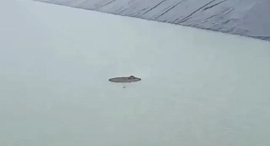 Şanlıurfa’daki bu görüntü ekipleri harekete geçirdi!