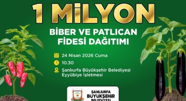 Şanlıurfa'da Çiftçilere 1 Milyon Sebze Fidesi Ücretsiz Dağıtılacak