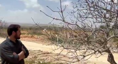 Şanlıurfa'da İslam Öncesi Türk İnançlarının İzleri: Ağaçlara Çaput Bağlama Geleneği