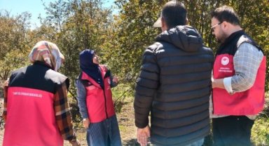 Şanlıurfa'da Nar Bahçelerinde Akdeniz Meyve Sineği Denetimi Yapıldı