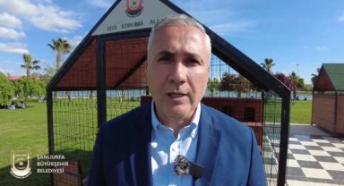 Şanlıurfa'da Sokak Kedileri İçin Özel Yaşam Alanları Oluşturuldu