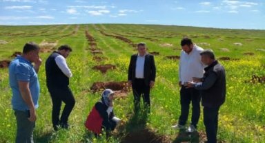 Şanlıurfa'da Üreticilere Alo Ziraat Doktoru Desteği