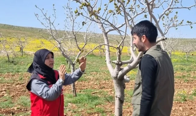 Şanlıurfa'da Üreticilere 'Alo Ziraat Doktoru' Hattından Destek