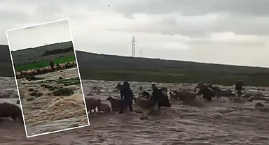 Siverek’te mahsur kalan çoban ve koyun sürüsü kurtarıldı