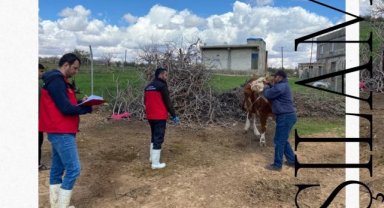 Suruç'ta Aşı Çalışmaları Harmanalan Mahallesi'nde Sürüyor