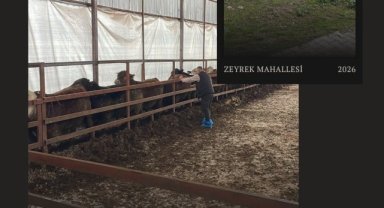 Suruç'ta Aşı Çalışmaları Zeyrek Mahallesi'nde Sürüyor