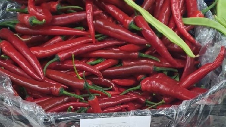 TİGAD'dan Fahiş Biber Fiyatlarına Tepki: Ahlak ve Denetim Sorunu Vurgusu