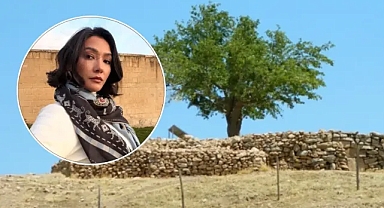 Aybüke Pusat’tan Şanlıurfa yorumu: Son 9 ayda çözülemeyen her şey çözüldü