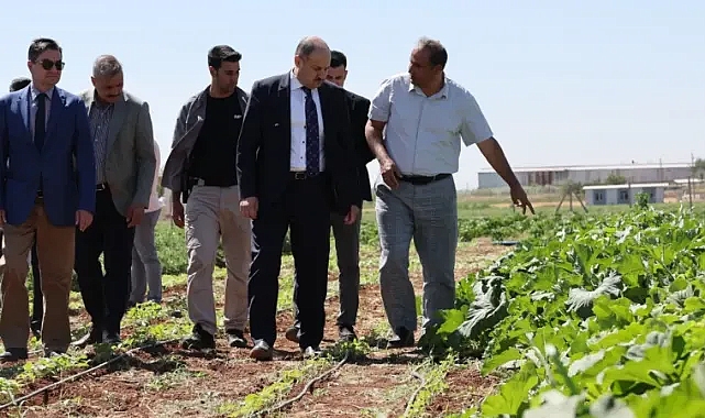 BAŞKAN GÜLPINAR’DAN DÜNYA ÇİFTÇİLER GÜNÜ MESAJI