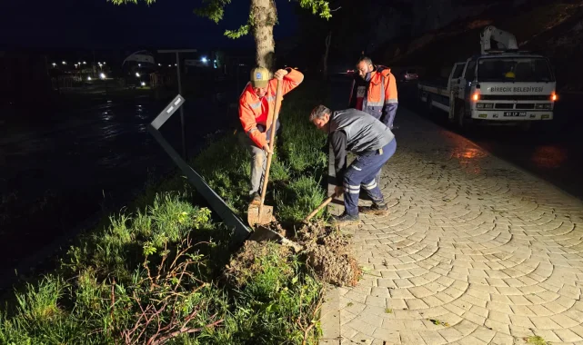 Birecik'te Afet Sonrası Aydınlatma Direkleri Ekiplerce Onarılıyor