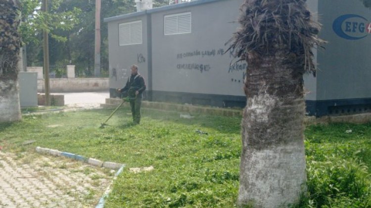 Birecik'te Yeşil Alanlar Yenileniyor: Park ve Bahçelerde Kapsamlı Düzenleme