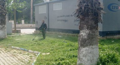 Birecik'te Yeşil Alanlar Yenileniyor: Park ve Bahçelerde Kapsamlı Düzenleme