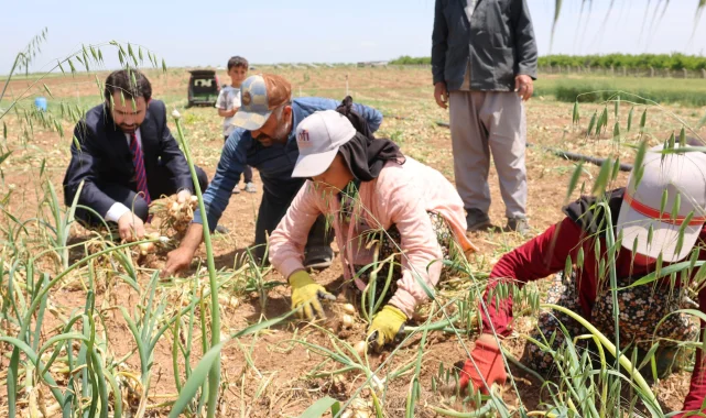 Ceylanpınar Belediye Eşbaşkanı Uğur Kahraman Çiftçiler Günü'nde Tarım Emekçileriyle Buluştu