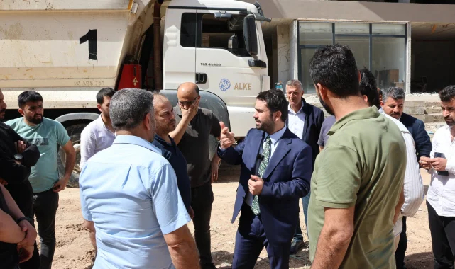 Ceylanpınar'da Gümrük Yolu Yenileme Çalışmaları Başladı