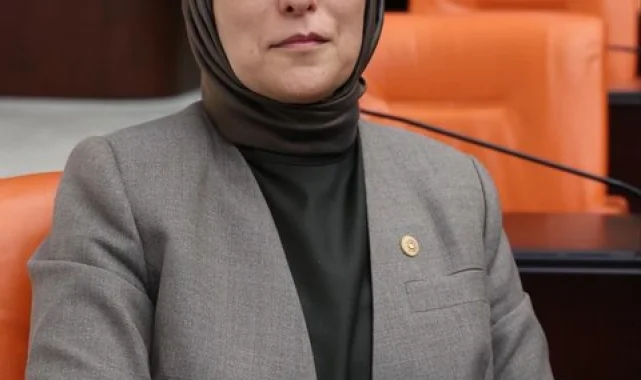 Ceylanpınar'da Mülkiyet Sorunları Çözülüyor: Süre Uzatıldı